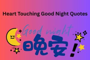 Heart Touching Good Night Quotes