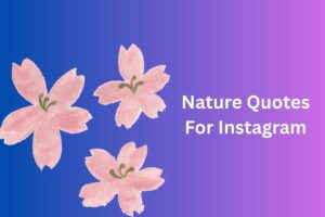 Nature Quotes For Instagram
