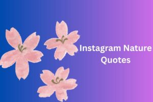 Instagram Nature Quotes