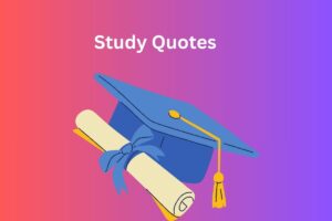 Study Quotes