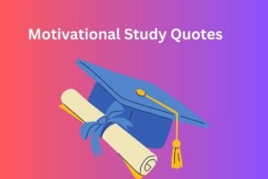 Motivational Study Quotes